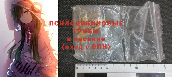 хмурый Михайловск