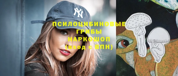 a pvp Абаза